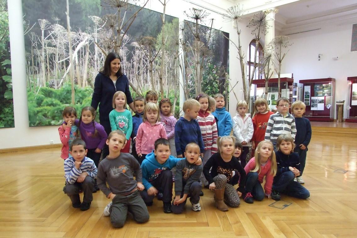 interaktivni-vystava-dzungle-za-plotem