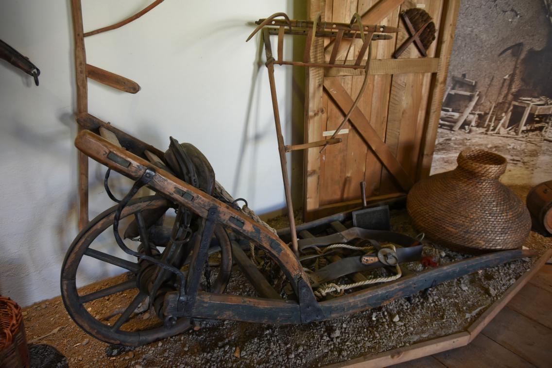 muzeum-dr-bohuslava-horaka