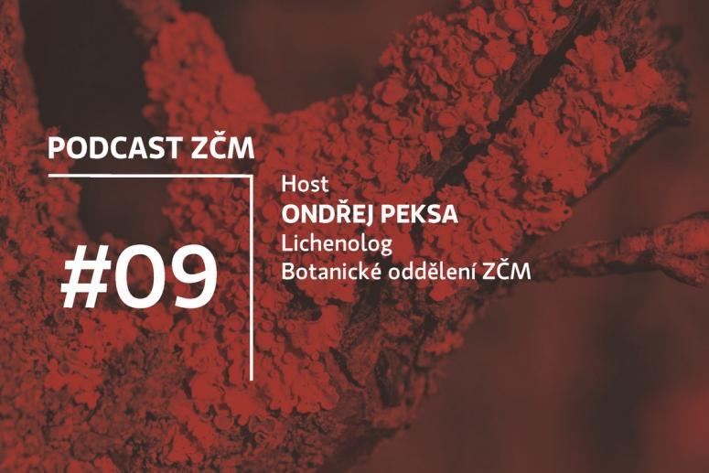09-veda-v-muzeu-samozrejme-a-take-pro-vas
