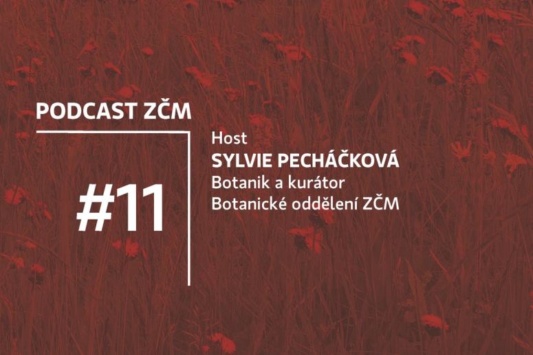 11-veda-v-muzeu-samozrejme-a-take-pro-vas