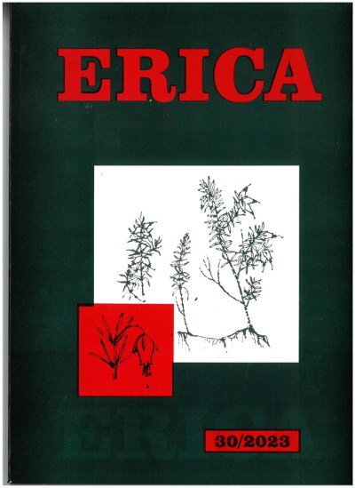 erica-302