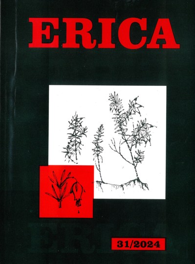 erica-316